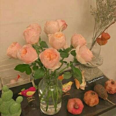 冰火人上一百层